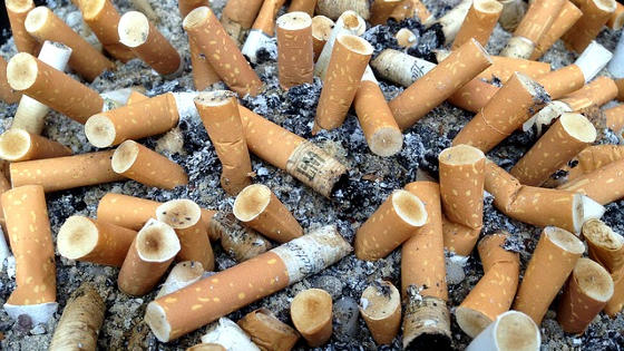 many cigarette butts